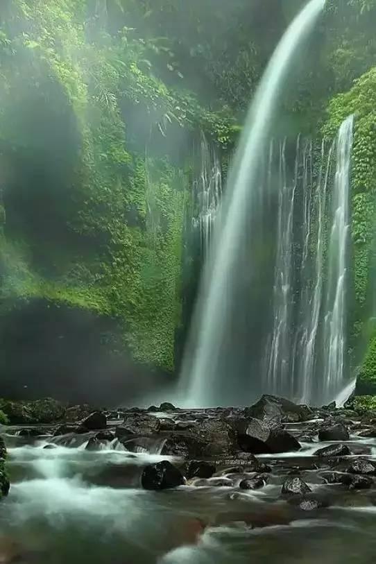 逃离神秘之林