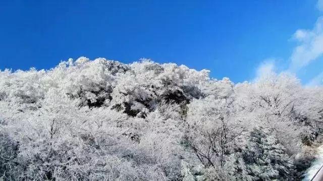 苹果：电车发布推迟，自动驾驶水平下降！技术赶不上华为？