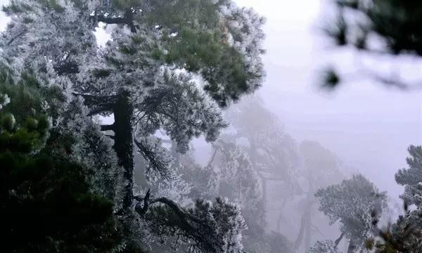 美妆胶卷 | 轻松褪去疲态老化，助力型男重拾青春少年感。