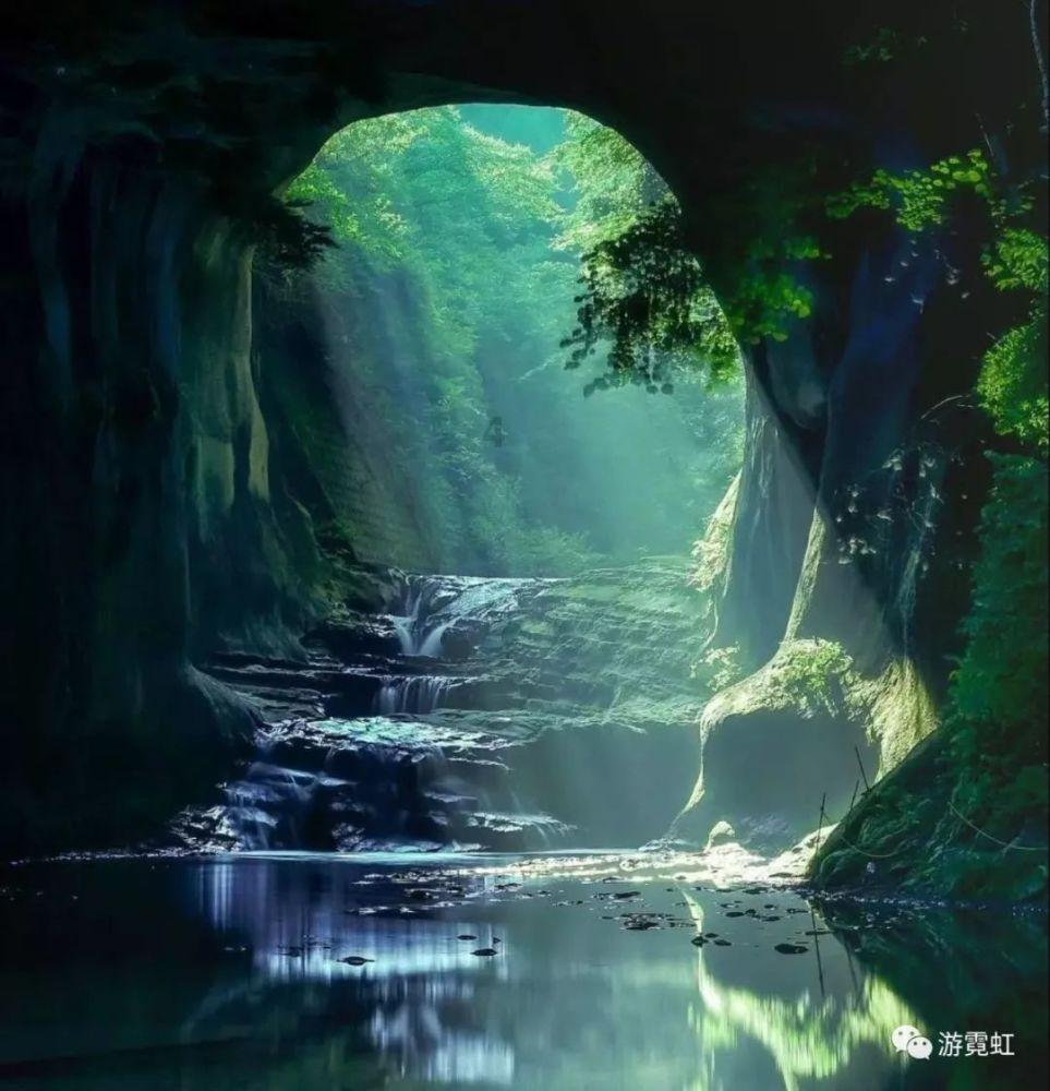 时尚小鸡救援
