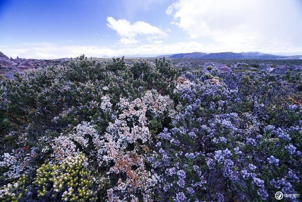 炸裂！ “中字头”起舞 沪指重回2900点 A股逾百股涨停