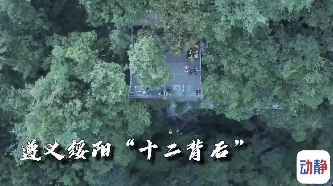 僵尸躲避战