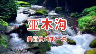 哆啦A梦3奇迹之岛