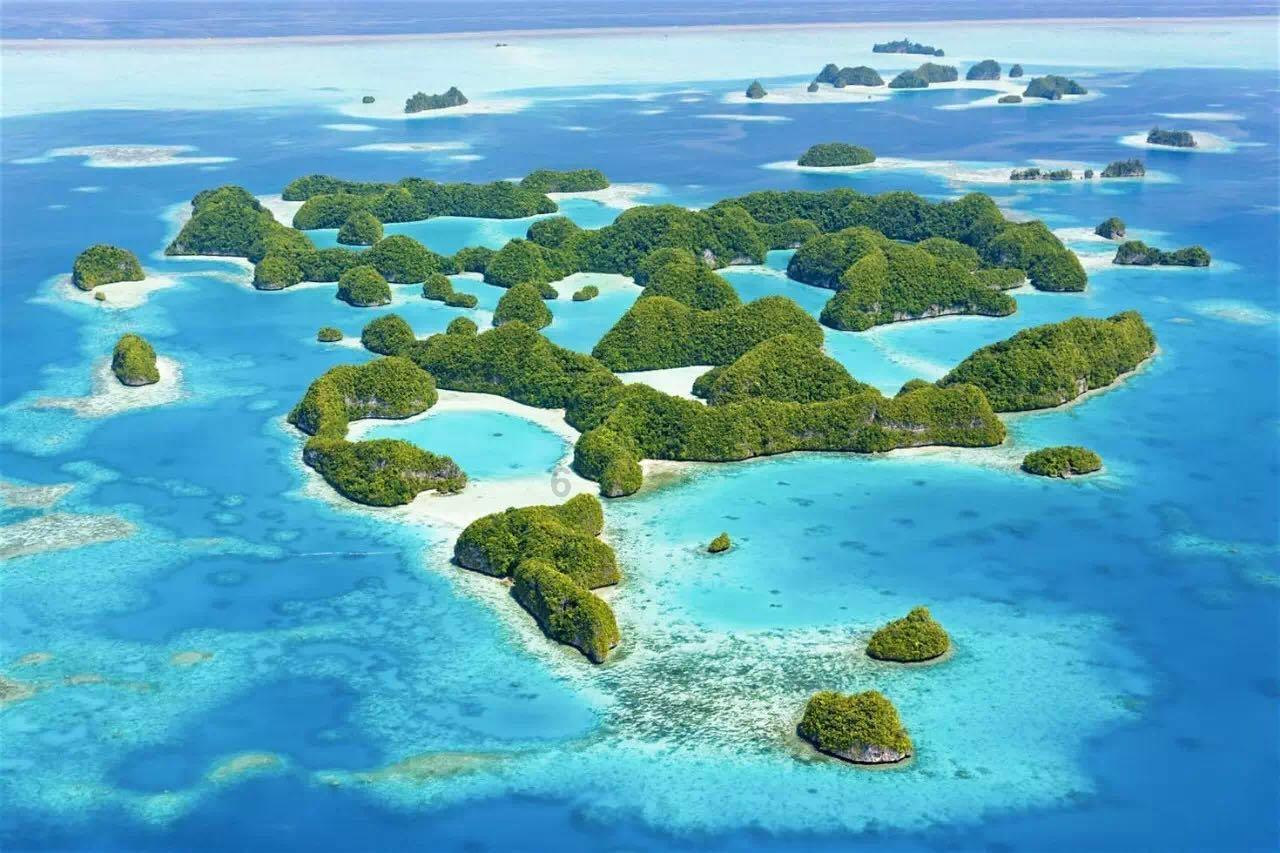 拯救落难小鸟