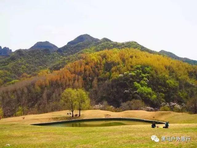 职场人经常遇到的心理问题有哪些？游戏画面