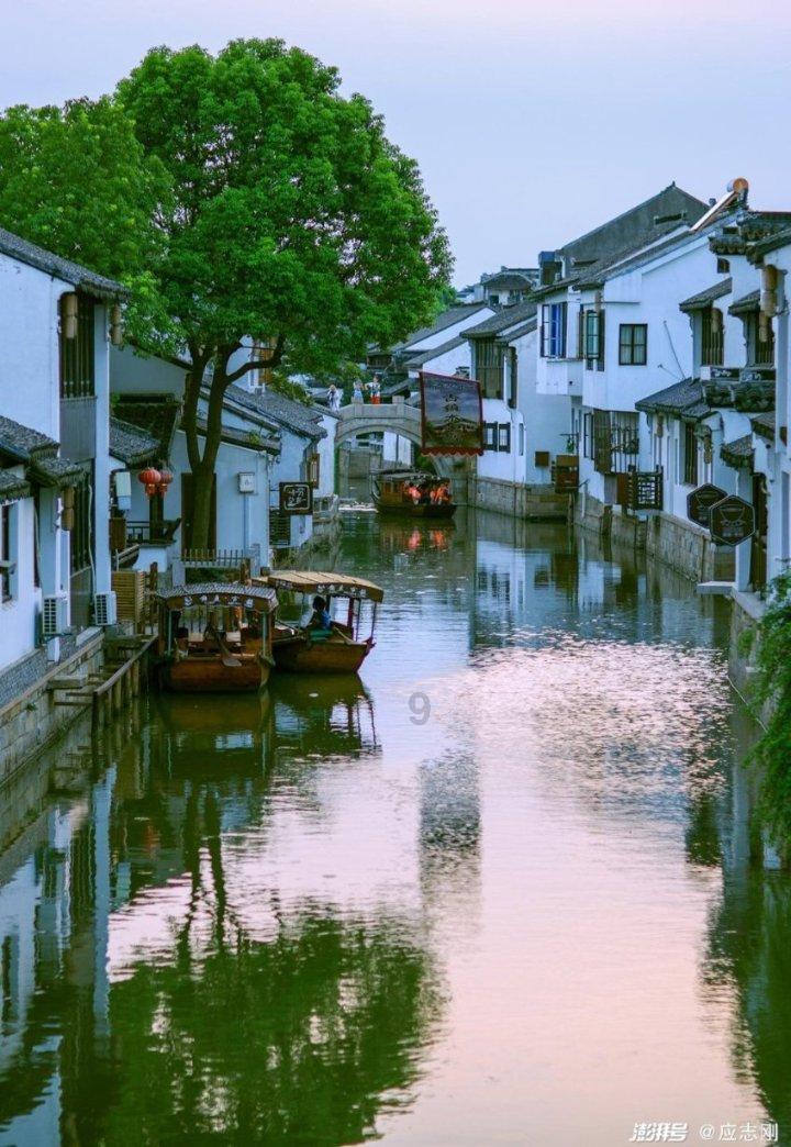 苦主救助中心